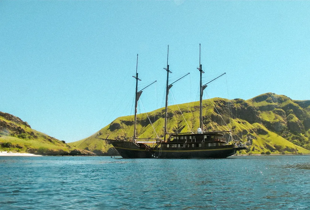 WAOW anchored in front of green hills.