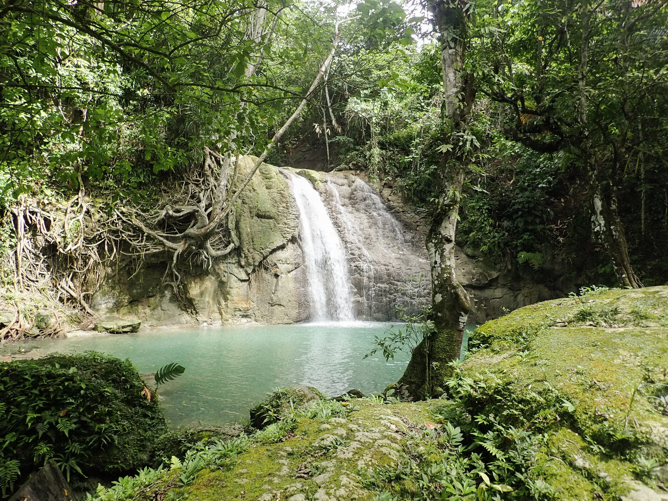 A waterfall tumbling into a turquoise pool in the rainforest.