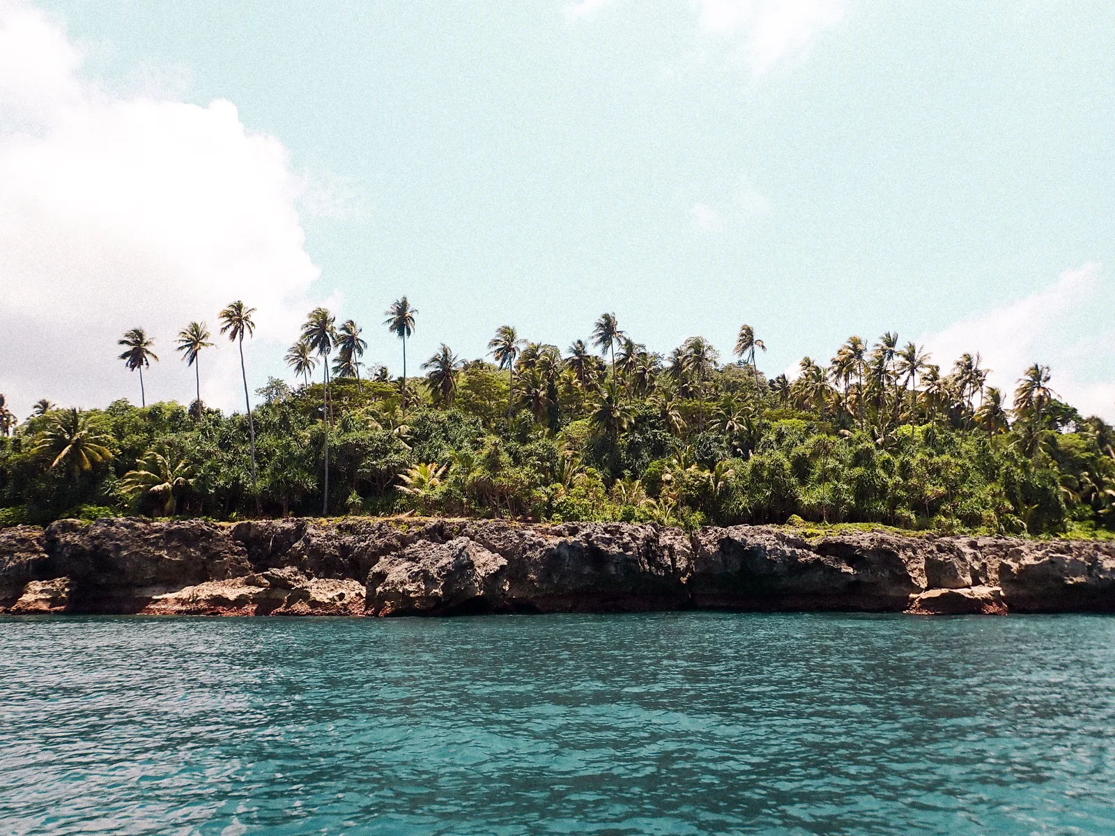 A forested island with palms above clear water in the Moluccas.