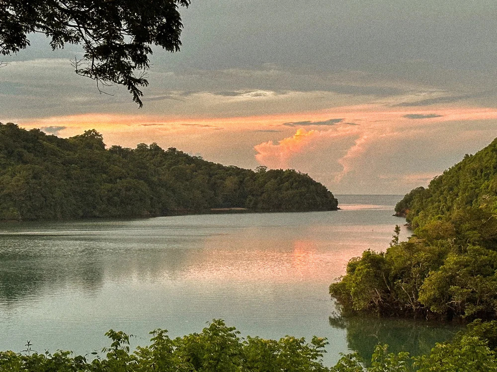 A calm bay at sunset between forested headlands.