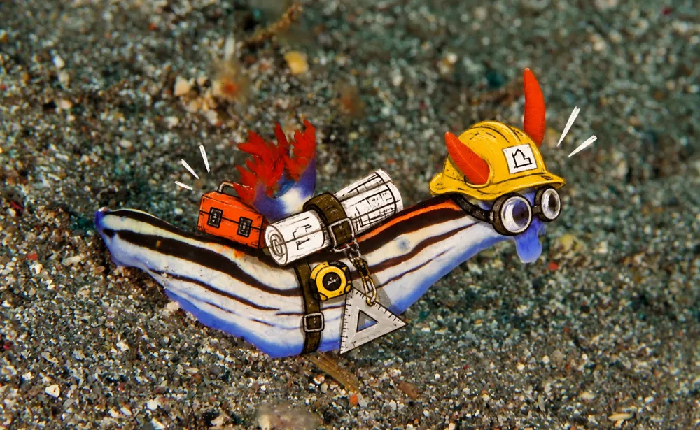 A nudibranch in a hard hat with blueprints.