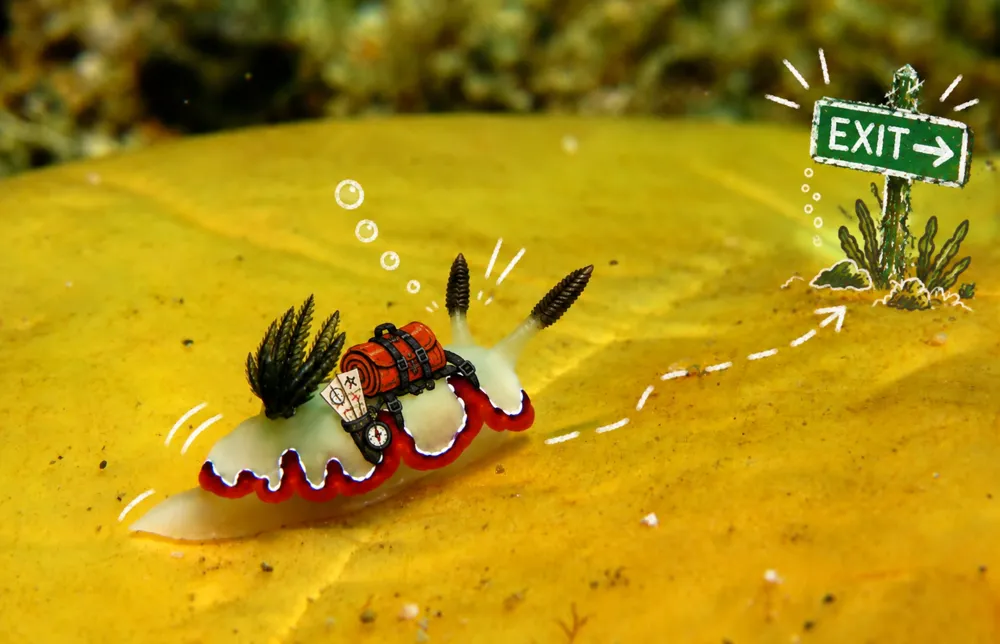 A nudibranch with a backpack heading for an exit sign.