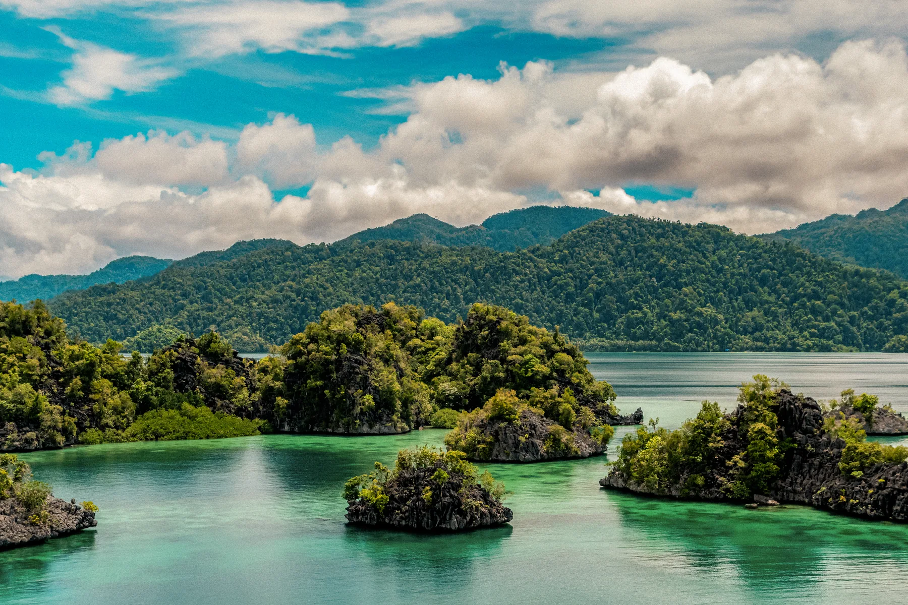Forested islands and turquoise water in Sulawesi.