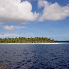 Banda Sea - photo taken during a scuba diving cruise onboard liveaboard WAOW in Indonesia Forgotten Islands