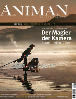 Sport Diver