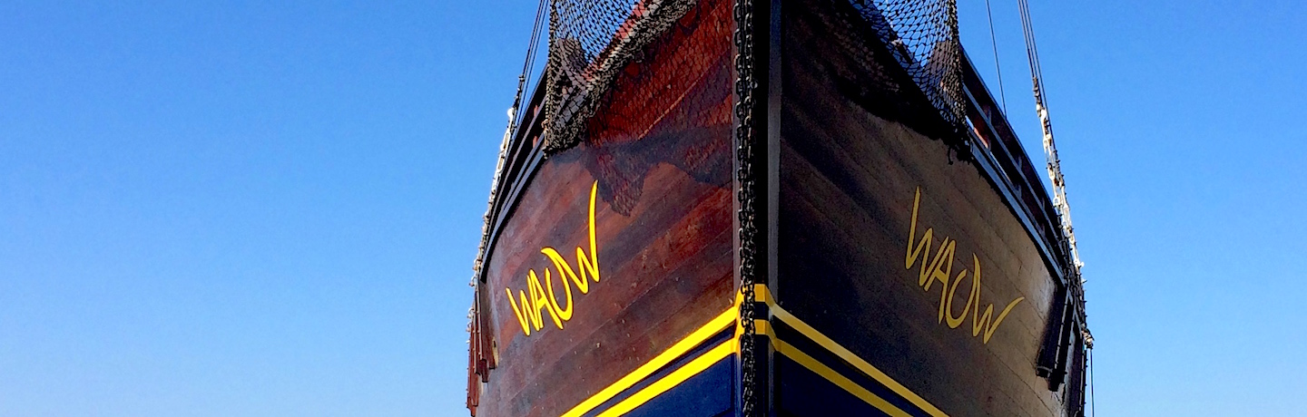 Slider - MSY WAOW Phinisi bateau de croisière plongée, navigue en Indonésie à Komodo, Raja Ampat, Papouasie, Moluques, mer de Seram, Halmahera, Manado, Lembeh et Alor