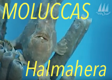 see the video