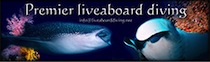 MSY WAOW, Liveaboard sailing for Scuba diving in Indonesia, KOMODO, Raja Ampat, Papua Barat , Cenderawasih, Moluccas, Seram sea, Halmahera, Manado, Lembeh Strait and Ambon