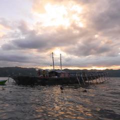 Pinisi Charter vessel and luxury liveaboard WAOW cruising, sailing and scuba diving in Indonesia Raja Ampat, Papua Barat, Moluccas, Seram sea,Triton Bay, Kaimana and Ambon. Bagan - local fishing platform