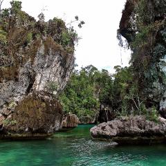 mit dem Pinisi Tauchschiff und Segelboot MSY WAOW in RajaAmpat, Penemu, Dampier Strait, Misool Lagunen 