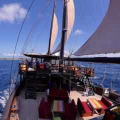 segeln mit Tauchschiff und Segelboot MSY WAOW