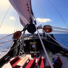 Pinisi WAOW, Phinisi bateau de plongée et voilier WAOW navigue sous voile, Misool, Wajag, Wayag, en Indonésie sailing