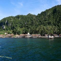 WAOW Liveaboard scuba diving Moluccas Seram  Lagoons