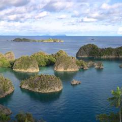 mit dem Pinisi Tauchschiff und Segelboot MSY WAOW in RajaAmpat Penemu Dampier Strait 