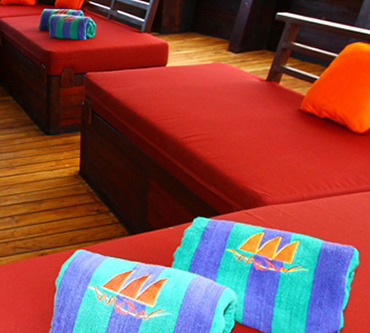 Facilities onboard MSY WAOW liveaboard to enhance your comfort : sundecks, wellness, watersports, scuba diving ... 